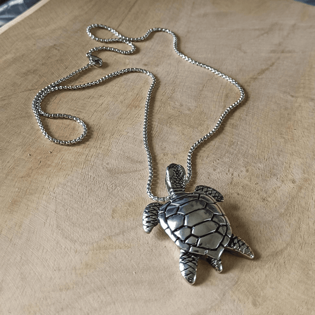 TORTUE